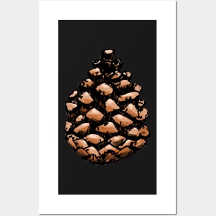 Pine cone Posters and Art